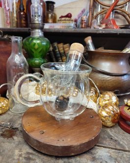 Infuseur du maître des potions